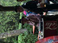 koehlerfest_2015_158_20150528_1666563333